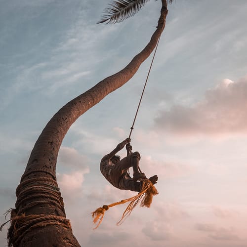 Coconut-tree-climbing-scaled