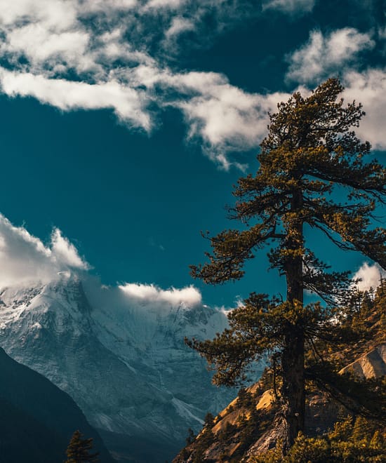 Annapurna-Forest-Region-scaled