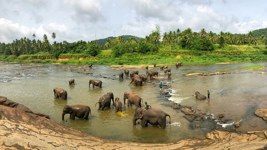 Rambukkana 71100, Sri Lanka, Rambukkana